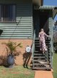 Photo - 16 Eames Street, Banyo QLD 4014 - Image 2