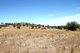 Photo - 16 Echo Hills Road, Werris Creek NSW 2341 - Image 5