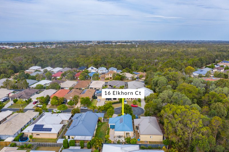 Photo - 16 Elkhorn Court, North Lakes QLD 4509 - Image 19