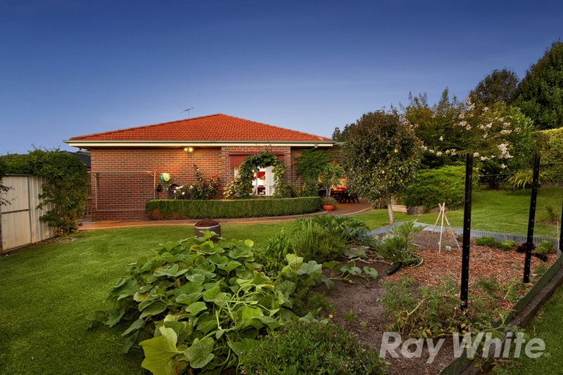 Photo - 16 Ellesse Way, Berwick VIC 3806 - Image 10