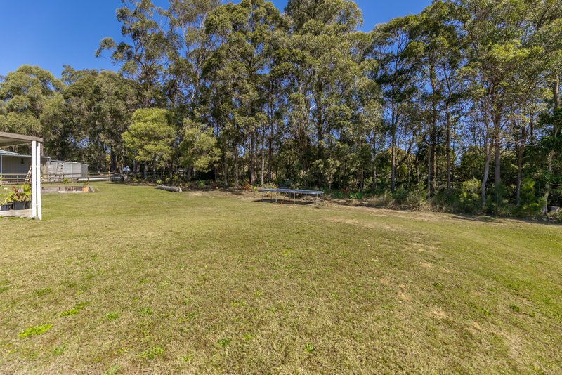 Photo - 16 Elwood Rise Vista, D'Aguilar QLD 4514 - Image 20