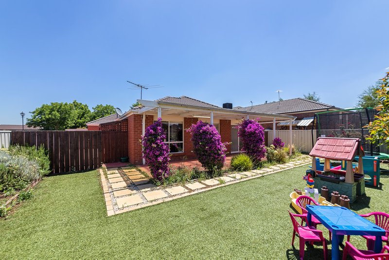 Photo - 16 Erindale Place, Craigieburn VIC 3064 - Image 7