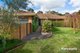 Photo - 16 Escott Grove, Berwick VIC 3806 - Image 2