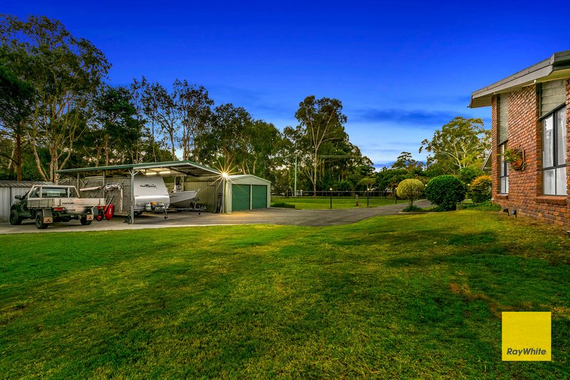 Photo - 16 Firtree Street, Victoria Point QLD 4165 - Image 5