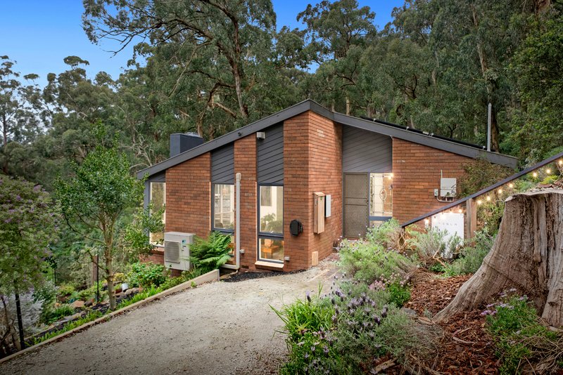 Photo - 16 Forest Road, Belgrave VIC 3160 - Image 1