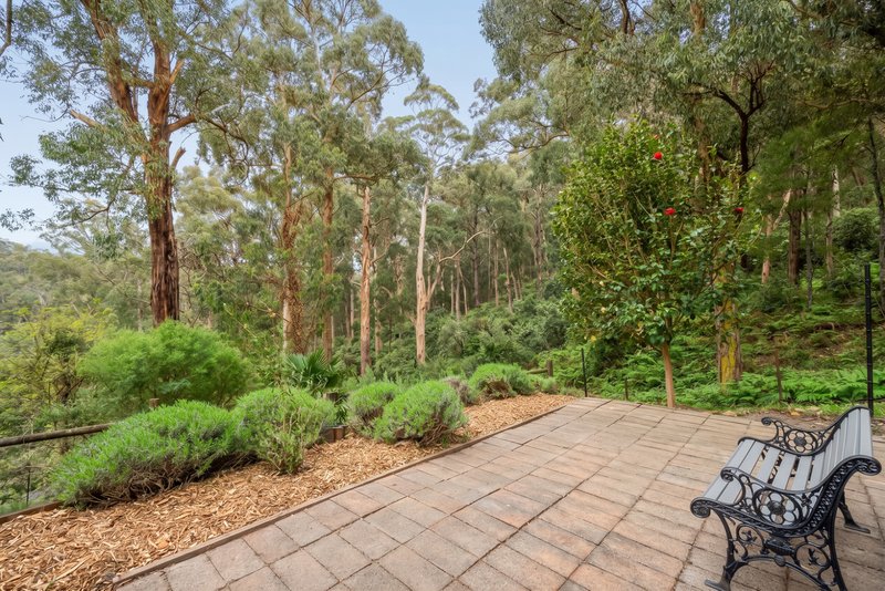 Photo - 16 Forest Road, Belgrave VIC 3160 - Image 16