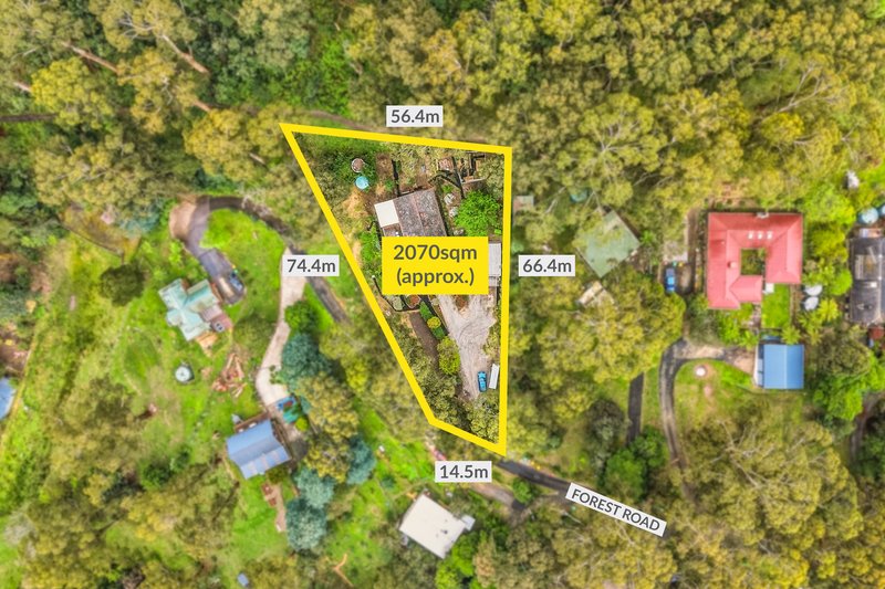 Photo - 16 Forest Road, Belgrave VIC 3160 - Image 17