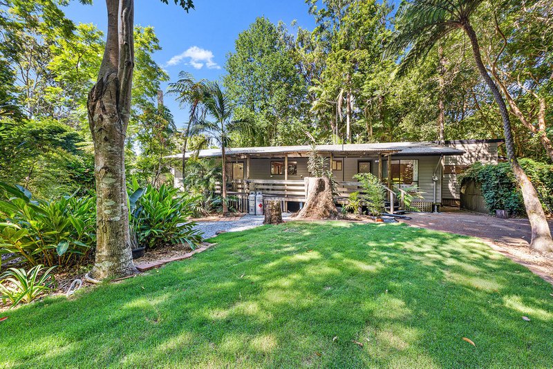 Photo - 16 Freemont Drive, Tamborine Mountain QLD 4272 - Image 19