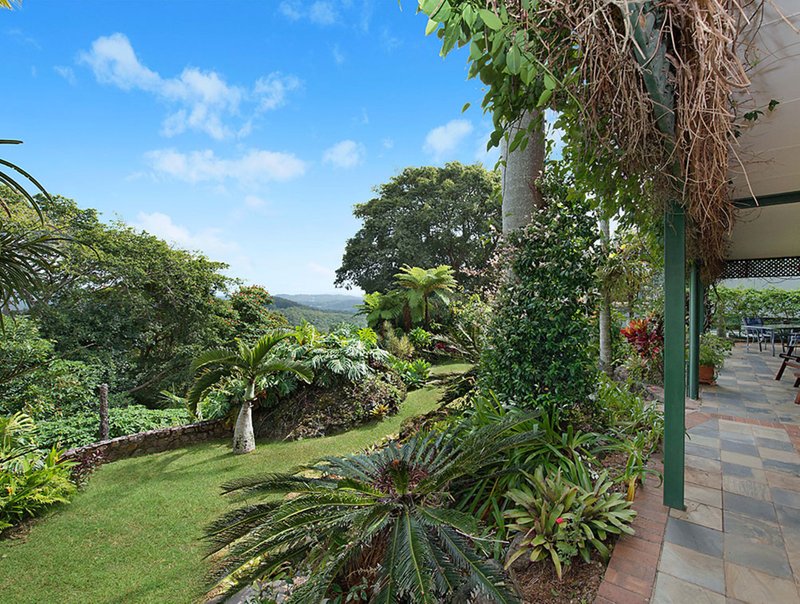 Photo - 16 Fullview Crescent, Buderim QLD 4556 - Image 12