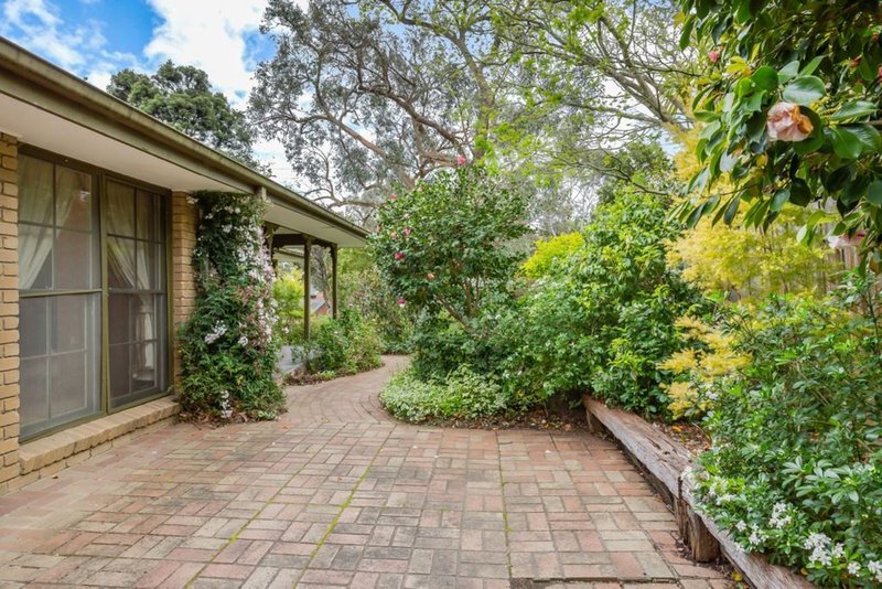 Photo - 16 Greenways Road, Glen Waverley VIC 3150 - Image 7