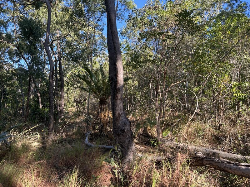 Photo - 16 Harry Heaths Close, Cooktown QLD 4895 - Image 3