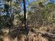 Photo - 16 Harry Heaths Close, Cooktown QLD 4895 - Image 3