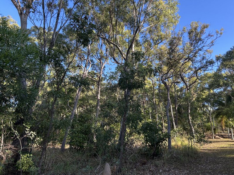 Photo - 16 Harry Heaths Close, Cooktown QLD 4895 - Image 4