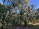 Photo - 16 Harry Heaths Close, Cooktown QLD 4895 - Image 4