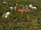 Photo - 16 Harry Heaths Close, Cooktown QLD 4895 - Image 5