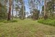 Photo - 16 Haven Crescent, Yarravel NSW 2440 - Image 14