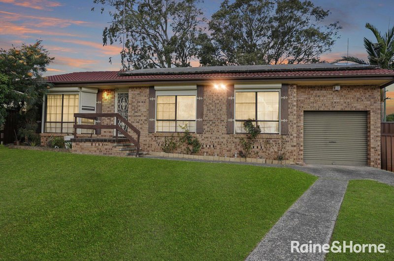 Photo - 16 Herborn Place, Minto NSW 2566 - Image 2