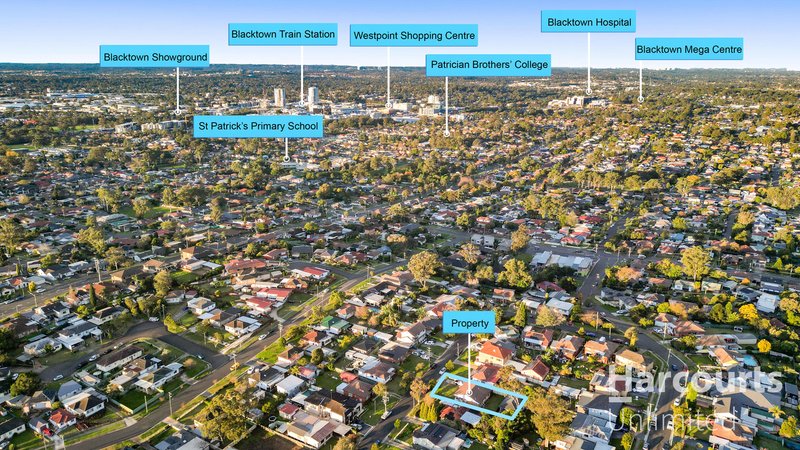 Photo - 16 Hilltop Avenue, Blacktown NSW 2148 - Image 20