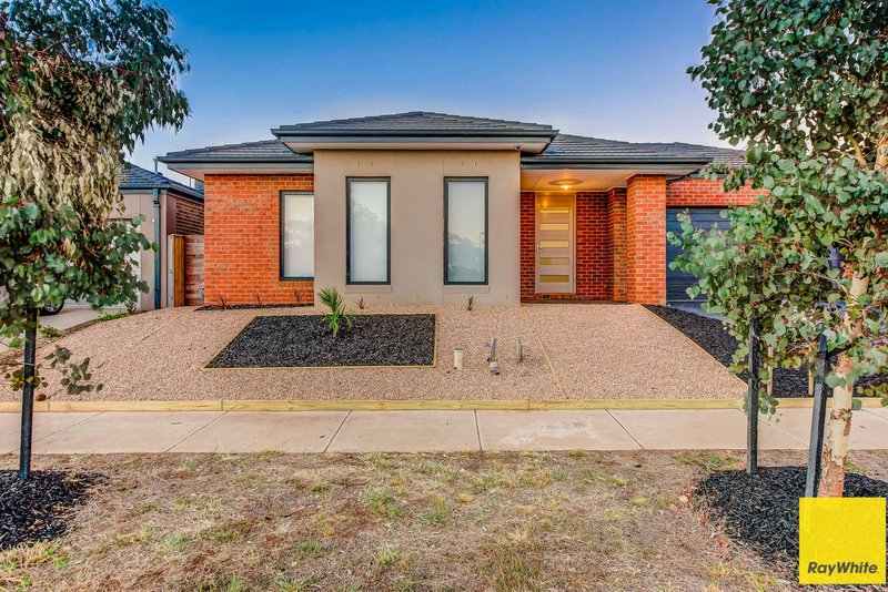 Photo - 16 Holyoake Parade, Wyndham Vale VIC 3024 - Image 14