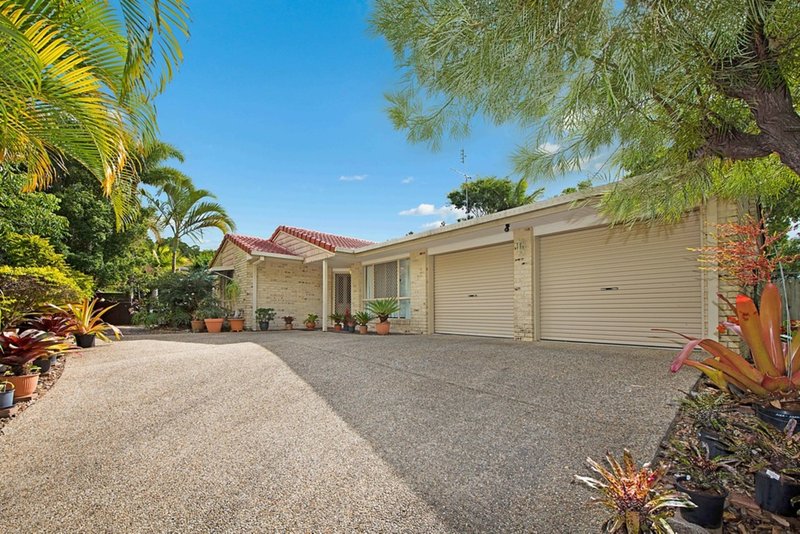 Photo - 16 Hoop Pine Court, Buderim QLD 4556 - Image 2