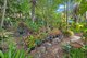 Photo - 16 Hoop Pine Court, Buderim QLD 4556 - Image 11