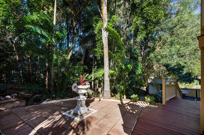 Photo - 16 Janderra Street, Buderim QLD 4556 - Image 7