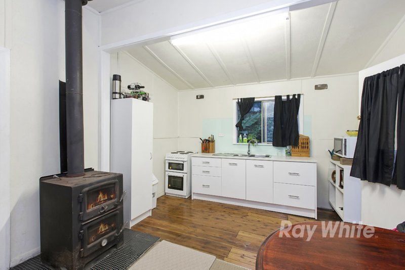 Photo - 16 Jindalee Street, Toronto NSW 2283 - Image 3