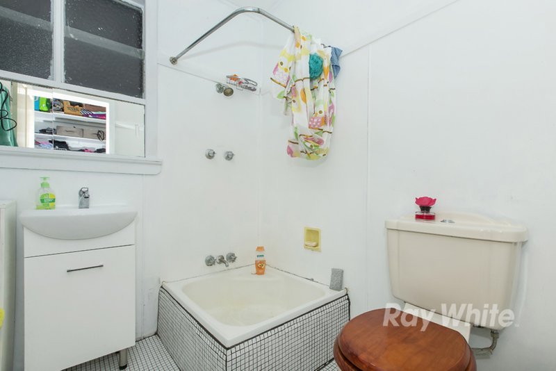 Photo - 16 Jindalee Street, Toronto NSW 2283 - Image 5