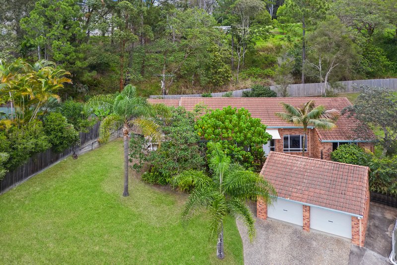 Photo - 16 Juniper Court, Buderim QLD 4556 - Image 16