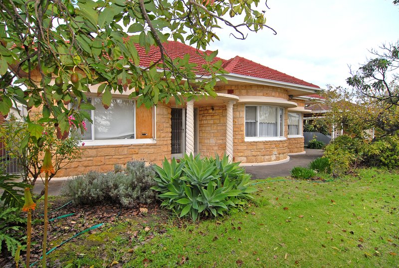 Photo - 16 Karawirra Avenue, Rostrevor SA 5073 - Image 4