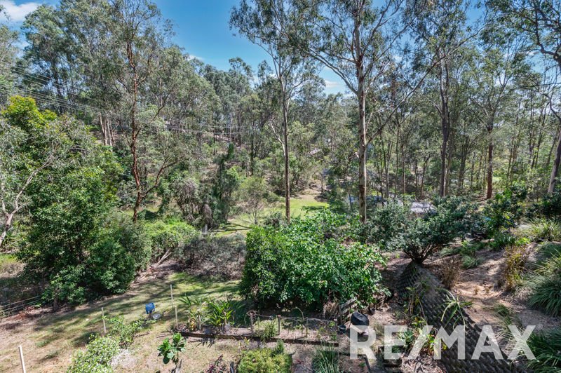 Photo - 16 Kimberley Court, Eatons Hill QLD 4037 - Image 23