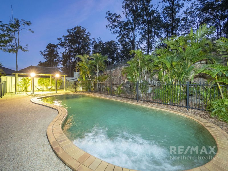 Photo - 16 Lambertia Court, Albany Creek QLD 4035 - Image 16