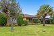 Photo - 16 Larnook Crescent, Aspendale VIC 3195 - Image 3