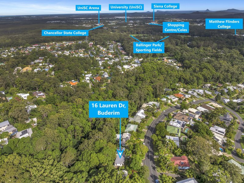Photo - 16 Lauren Drive, Buderim QLD 4556 - Image 16