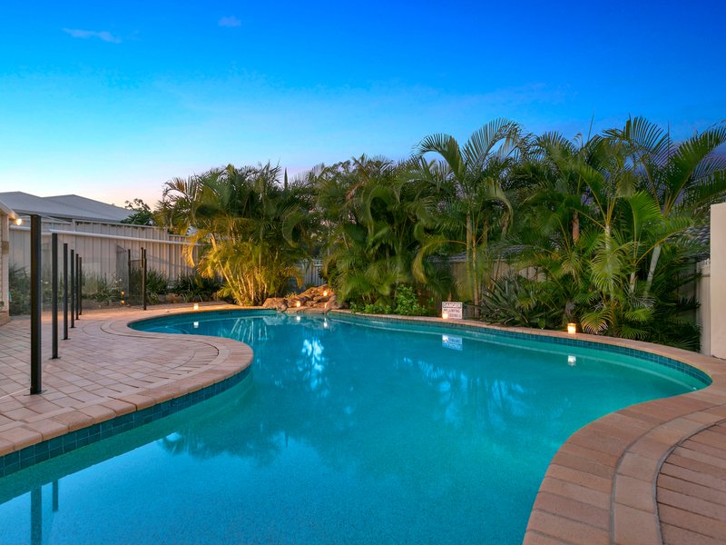 Photo - 16 Litsea Court, Reedy Creek QLD 4227 - Image 16