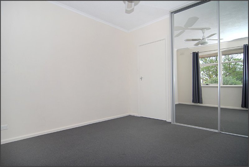 Photo - 16 Lothian Avenue, Windsor Gardens SA 5087 - Image 5