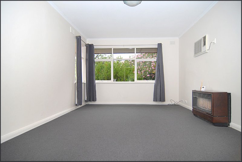 Photo - 16 Lothian Avenue, Windsor Gardens SA 5087 - Image 9