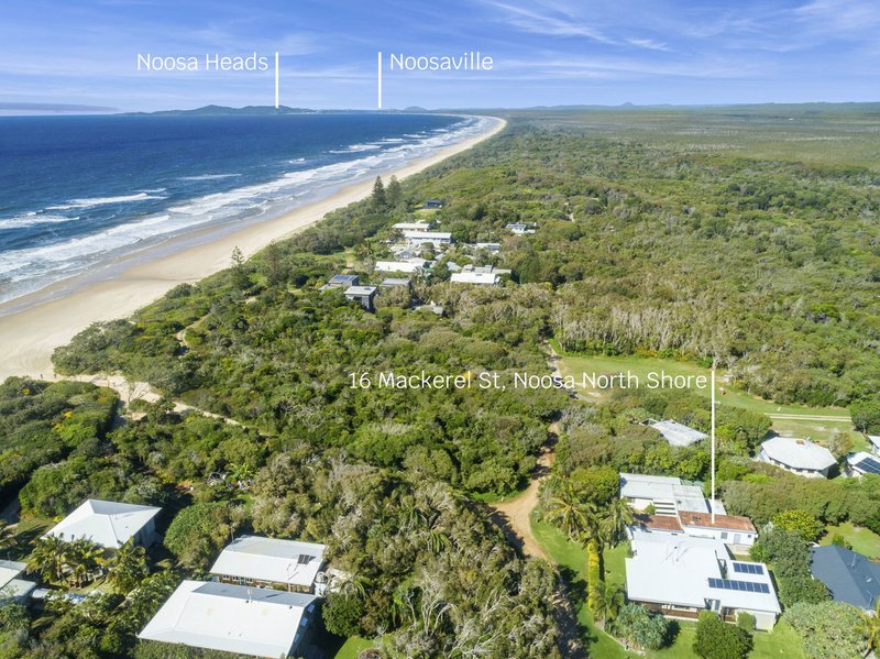 Photo - 16 Mackerel Street, Noosa North Shore QLD 4565 - Image 14