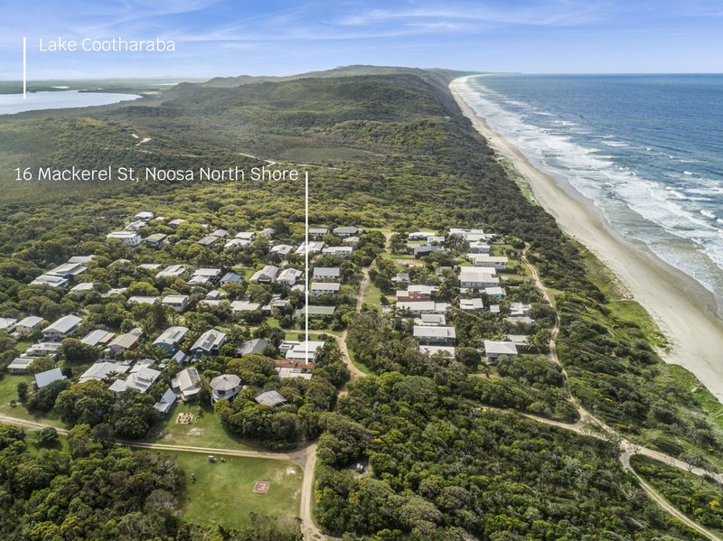 Photo - 16 Mackerel Street, Noosa North Shore QLD 4565 - Image 16