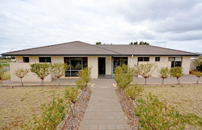 Photo - 16 Manera Street, Griffith NSW 2680 - Image 14