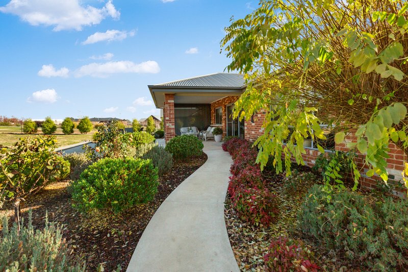 Photo - 16 Maple Tree Boulevard, Mansfield VIC 3722 - Image 9