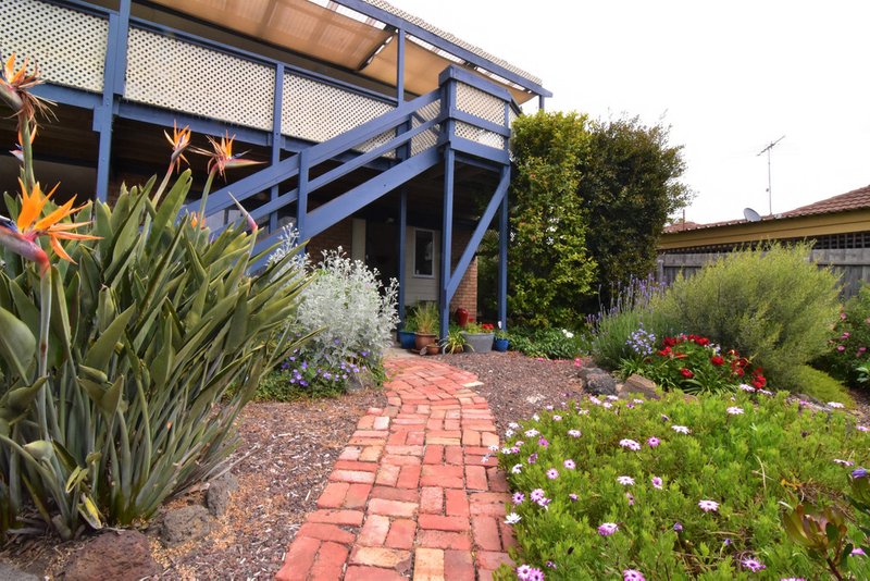 Photo - 16 Maraboora Avenue, Clifton Springs VIC 3222 - Image 3