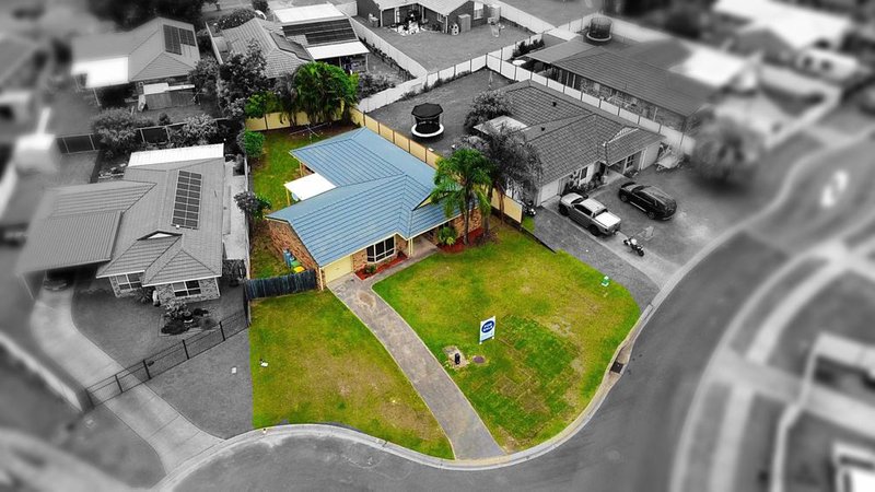 Photo - 16 Mareeba Court, Boronia Heights QLD 4124 - Image 17