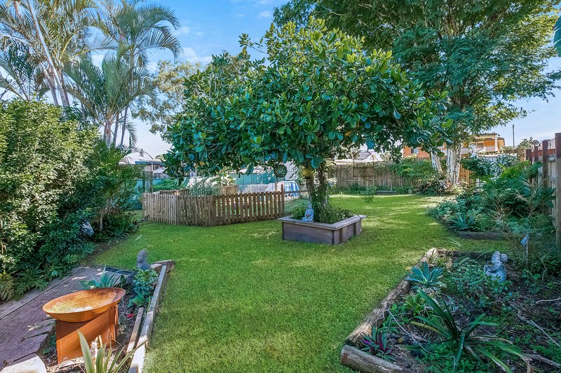 Photo - 16 Marigold Street, Margate QLD 4019 - Image 12