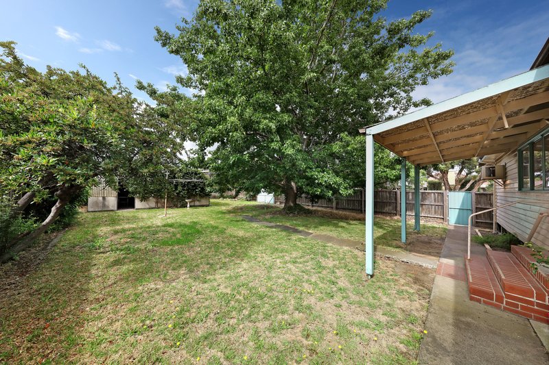 Photo - 16 Mckittrick Road, Bentleigh VIC 3204 - Image 7