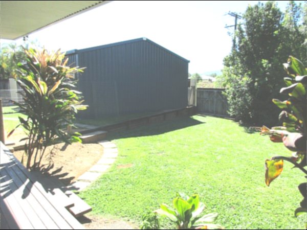 Photo - 16 Mendelsohn Close, Gordonvale QLD 4865 - Image 12