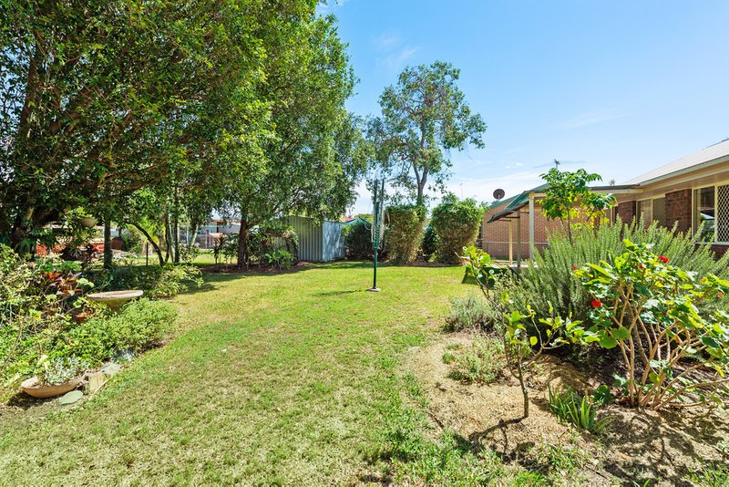 Photo - 16 Mirree Avenue, Bellara QLD 4507 - Image 13