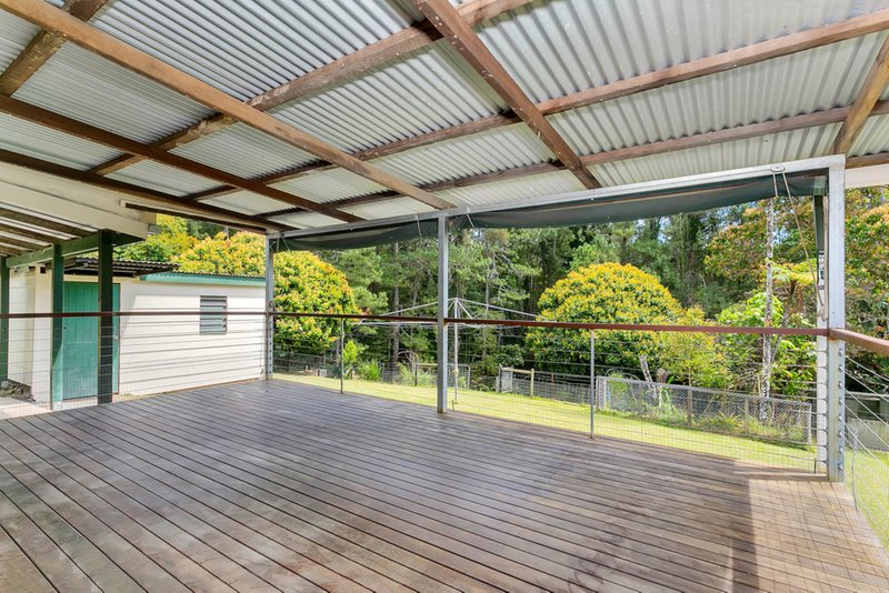 Photo - 16 Morton Street, Kuranda QLD 4881 - Image 3