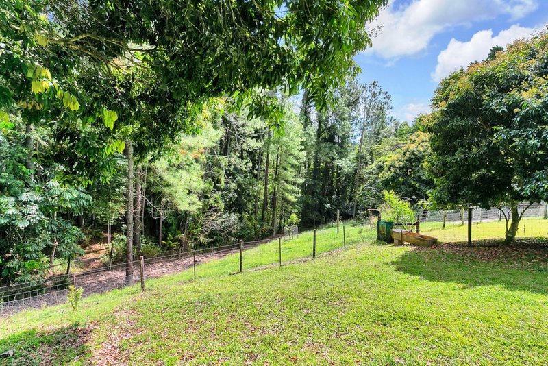 Photo - 16 Morton Street, Kuranda QLD 4881 - Image 11