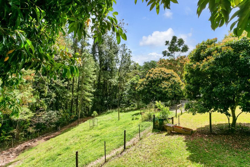 Photo - 16 Morton Street, Kuranda QLD 4881 - Image 13